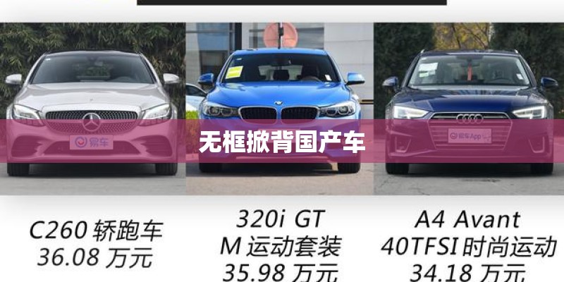 无框掀背国产车 无框掀背国产车