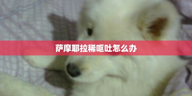 萨摩耶拉稀呕吐怎么办