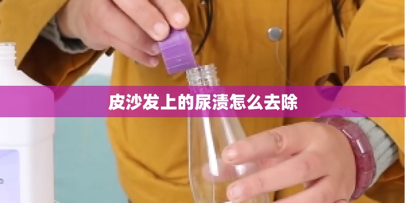皮沙发上的尿渍怎么去除
