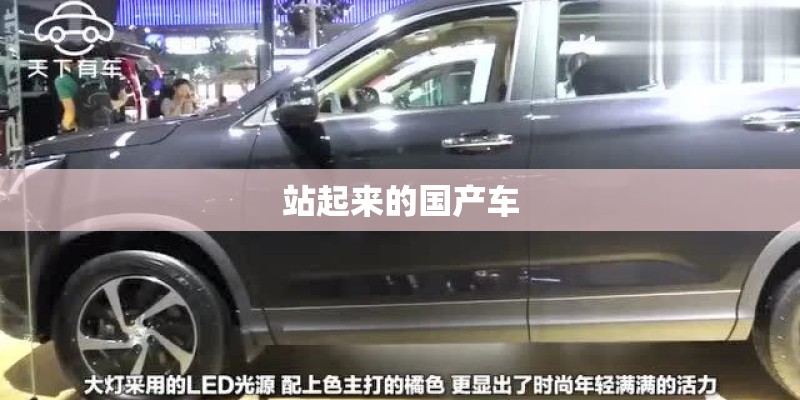站起来的国产车