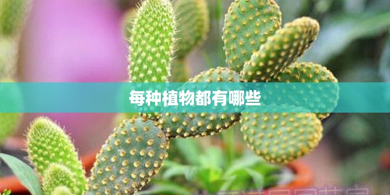 每种植物都有哪些 每种植物都有哪些