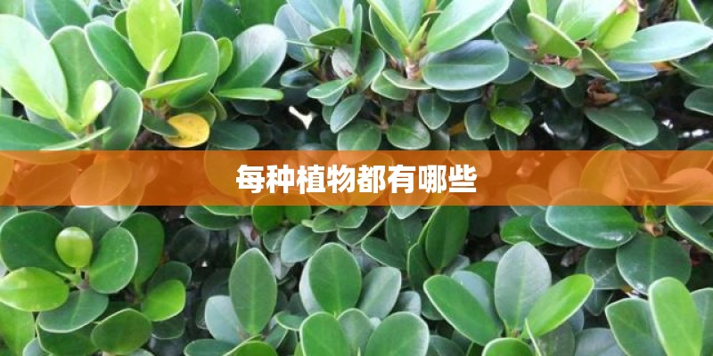 每种植物都有哪些 每种植物都有哪些
