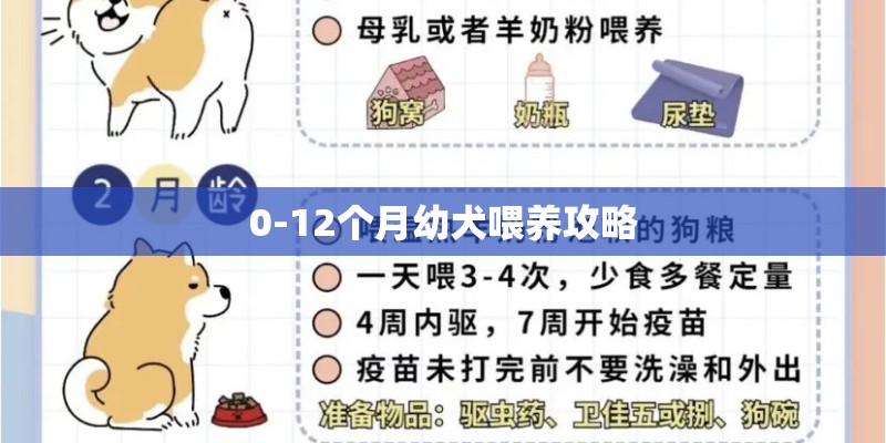 0-12个月幼犬喂养攻略