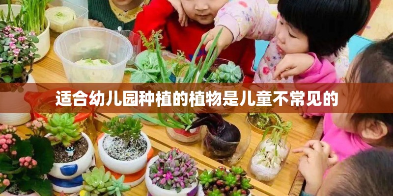 适合幼儿园种植的植物是儿童不常见的