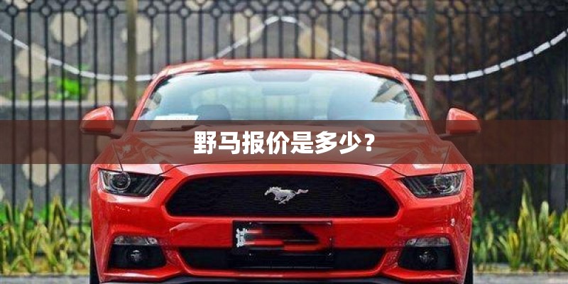 野马报价是多少？