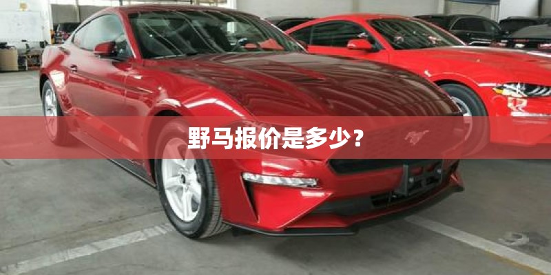 野马报价是多少？