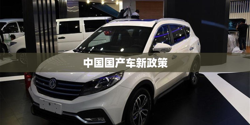 中国国产车新政策 中国国产车新政策