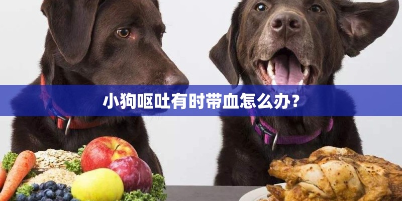 小狗呕吐有时带血怎么办？