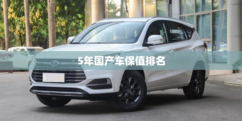 5年国产车保值排名