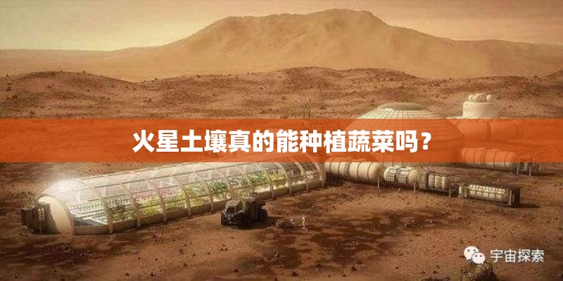 火星土壤真的能种植蔬菜吗？