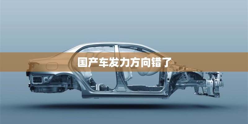 国产车发力方向错了