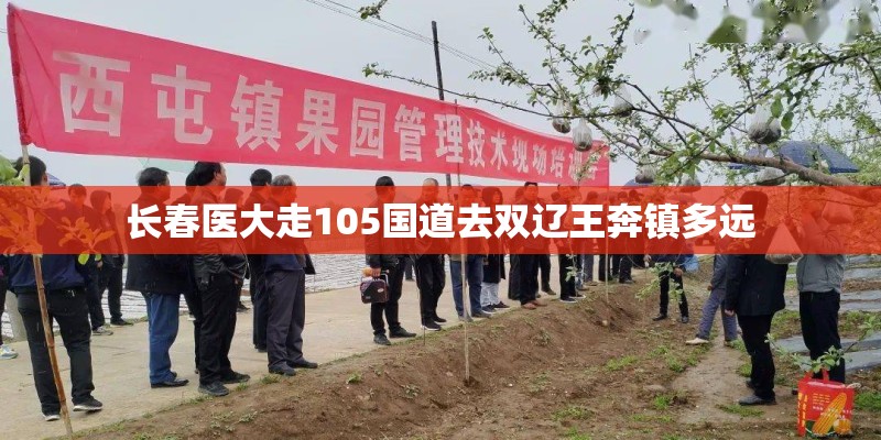 长春医大走105国道去双辽王奔镇多远
