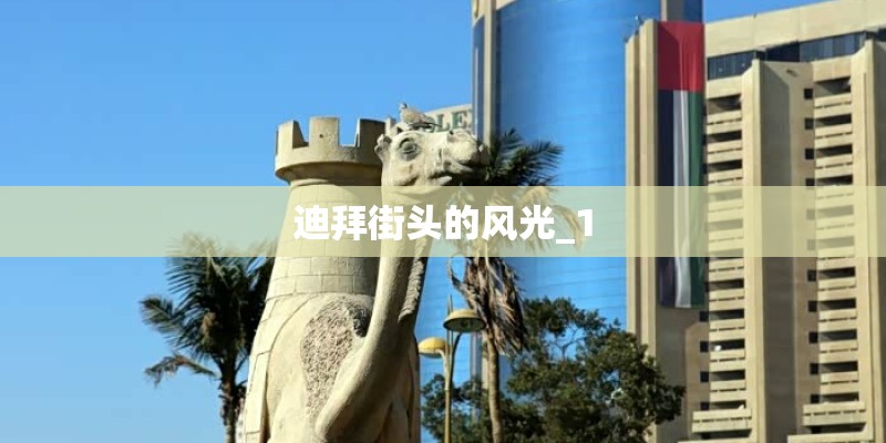 迪拜街头的风光_1 迪拜街头的风光_1
