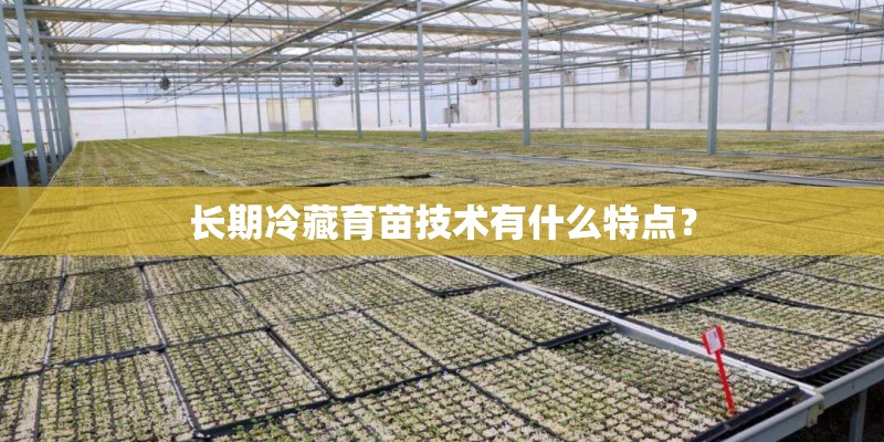 长期冷藏育苗技术有什么特点？