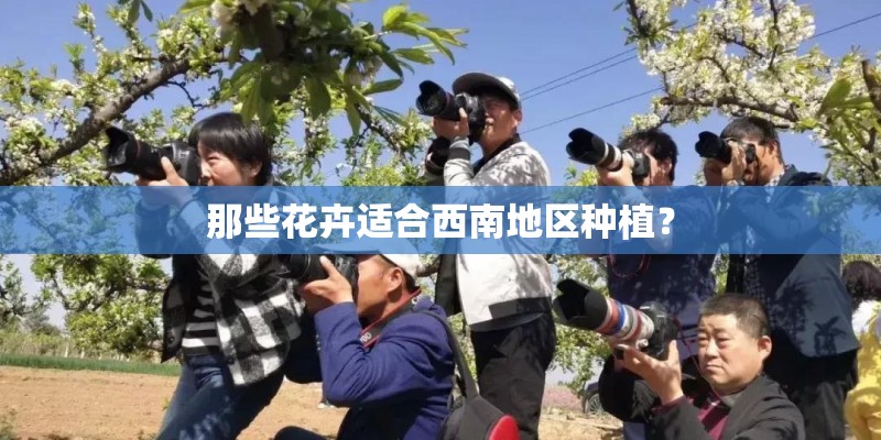 那些花卉适合西南地区种植？