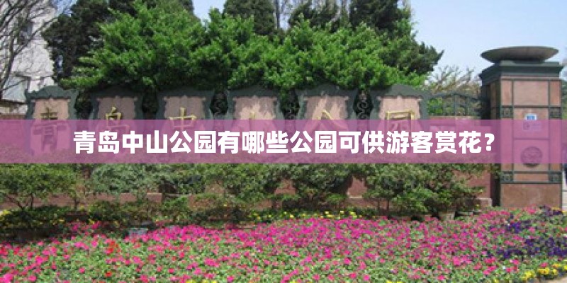 青岛中山公园有哪些公园可供游客赏花？