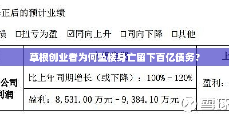 草根创业者为何坠楼身亡留下百亿债务？
