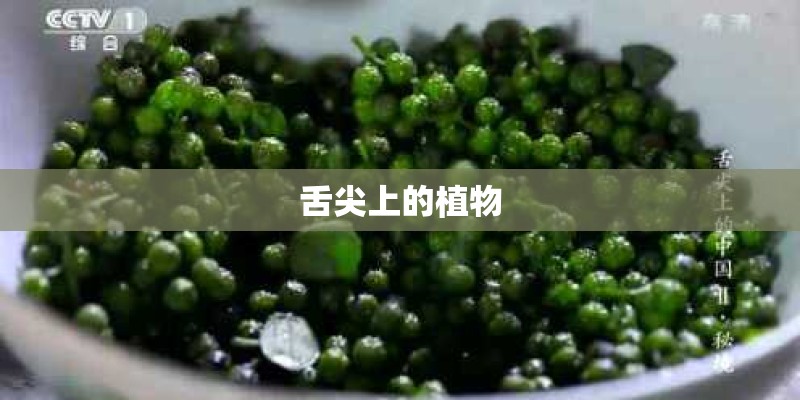 舌尖上的植物