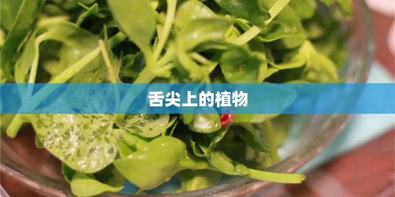 舌尖上的植物