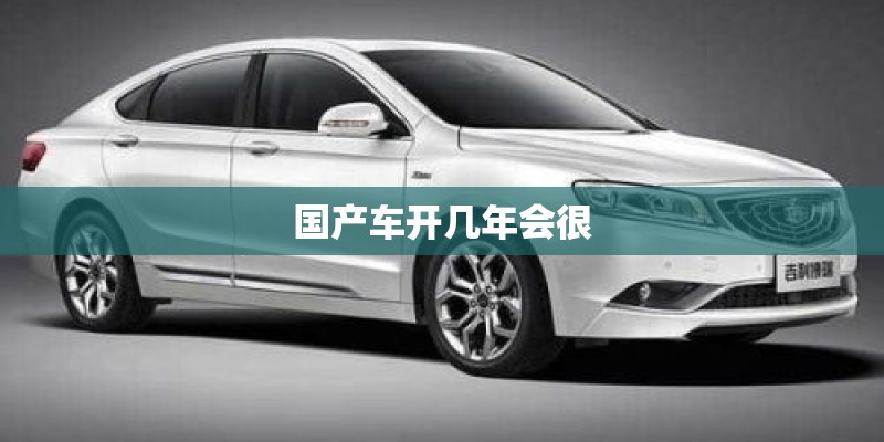 国产车开几年会很