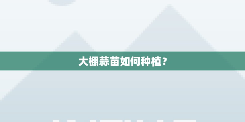大棚蒜苗如何种植？