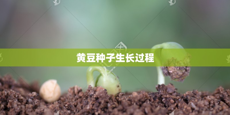 全职猎人片头曲Believe In Tomorrow的罗马音 全职猎人片头曲Believe In Tomorrow的罗马音