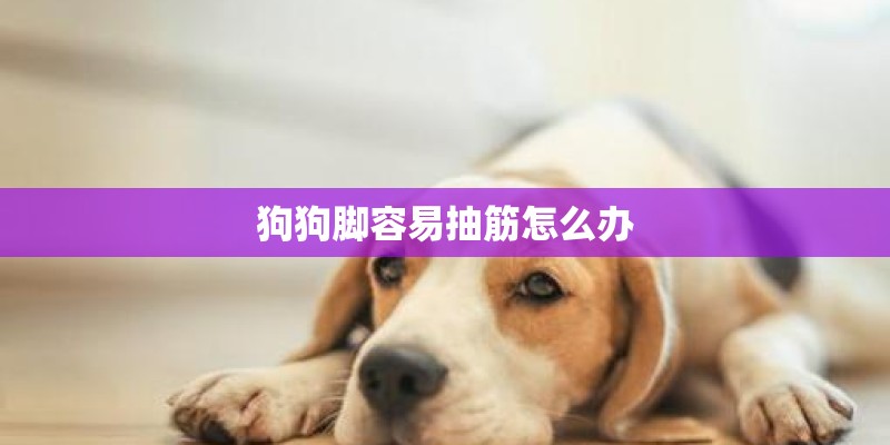 狗狗脚容易抽筋怎么办