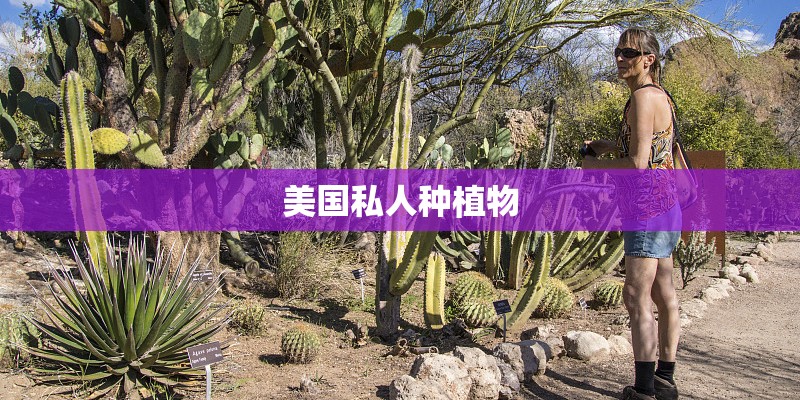 美国私人种植物