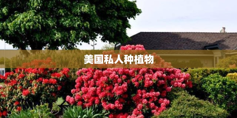 美国私人种植物