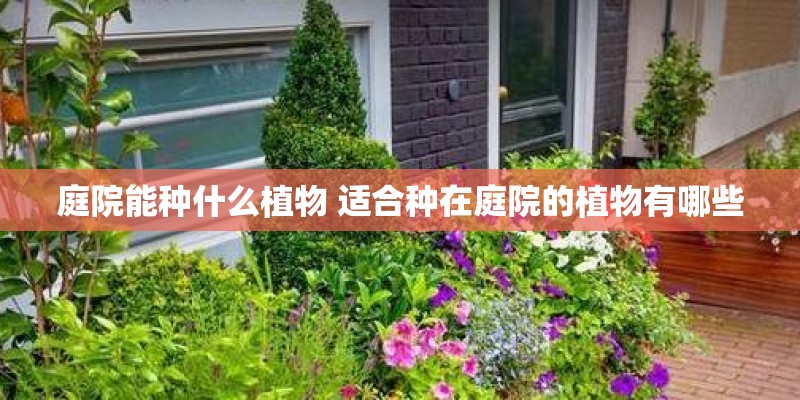 庭院能种什么植物 适合种在庭院的植物有哪些