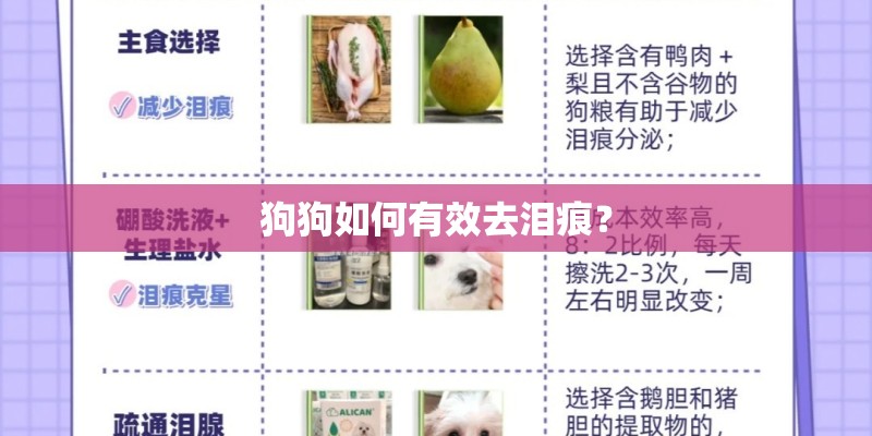 狗狗如何有效去泪痕？