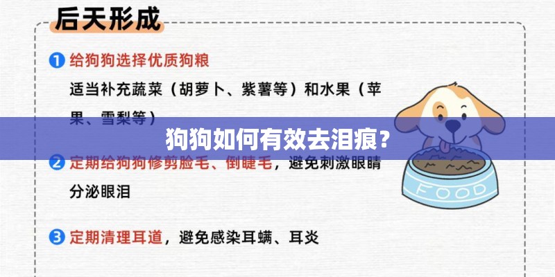狗狗如何有效去泪痕？
