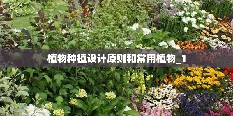 植物种植设计原则和常用植物_1 植物种植设计原则和常用植物_1