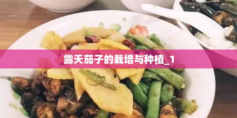 露天茄子的栽培与种植_1 露天茄子的栽培与种植_1