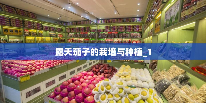 露天茄子的栽培与种植_1 露天茄子的栽培与种植_1