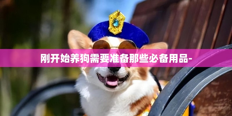 刚开始养狗需要准备那些必备用品- 刚开始养狗需要准备那些必备用品-