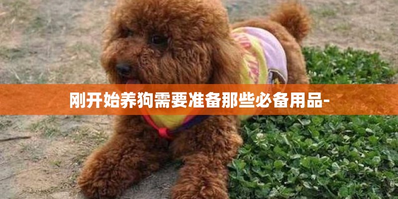 刚开始养狗需要准备那些必备用品- 刚开始养狗需要准备那些必备用品-