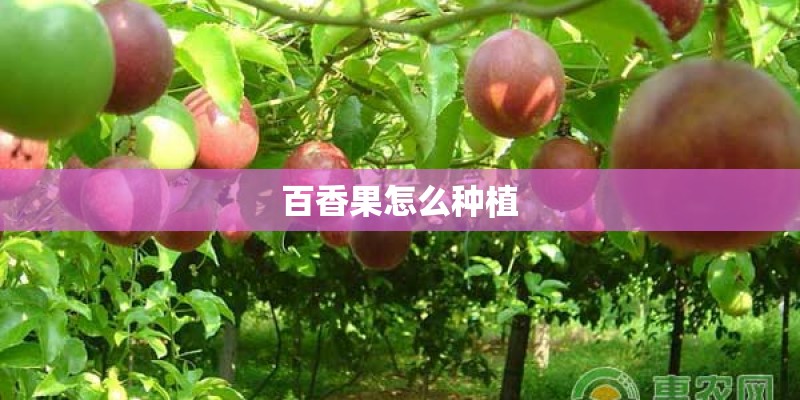 国产汽车（以奇瑞为例）能开几年？