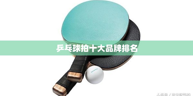 乒乓球拍十大品牌排名 乒乓球拍十大品牌排名