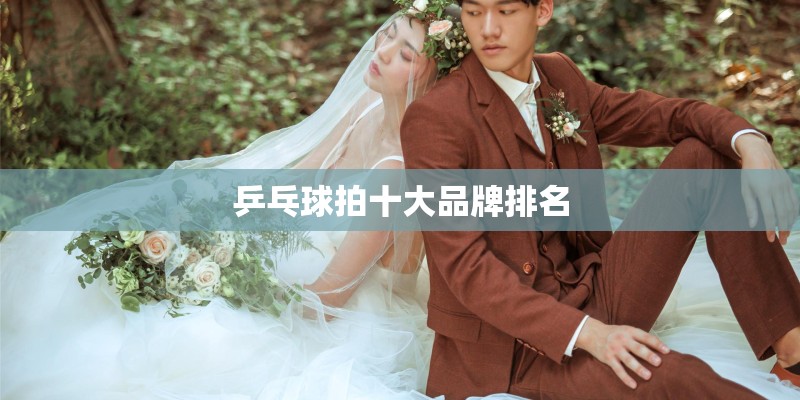 乒乓球拍十大品牌排名 乒乓球拍十大品牌排名