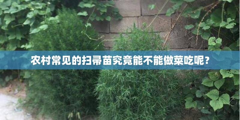 小狗拉稀一直不好怎么办