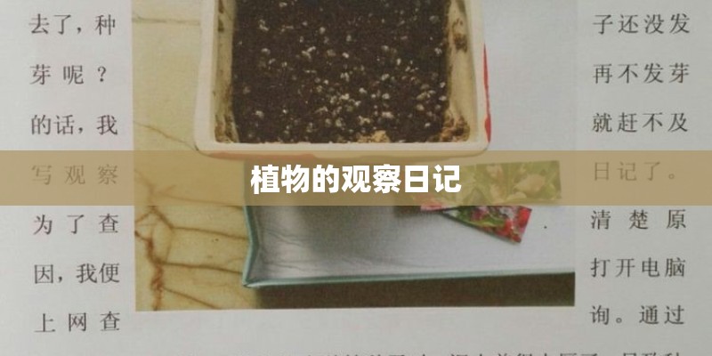 植物的观察日记