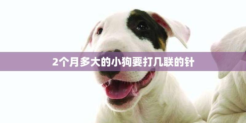 2个月多大的小狗要打几联的针 2个月多大的小狗要打几联的针