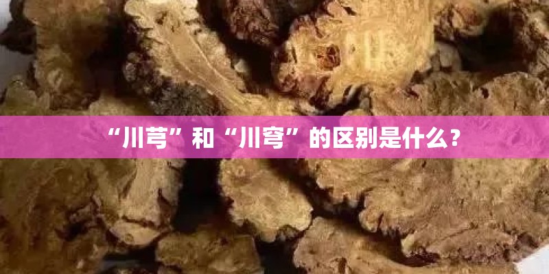 “川芎”和“川穹”的区别是什么? “川芎”和“川穹”的区别是什么?