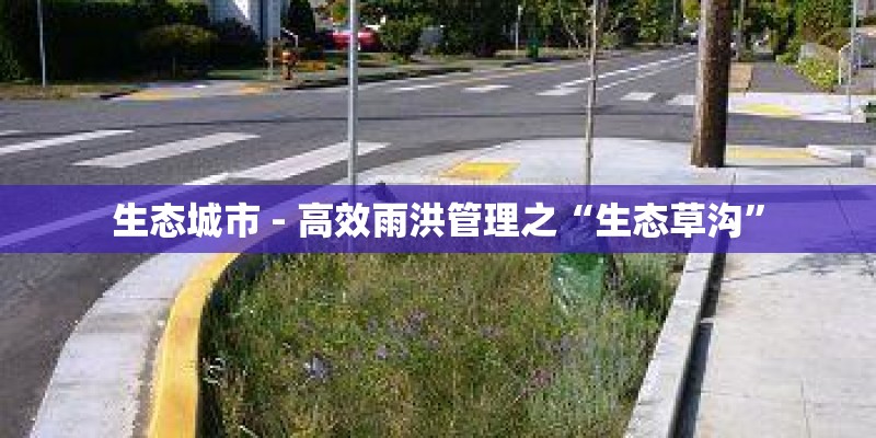 生态城市 - 高效雨洪管理之“生态草沟”