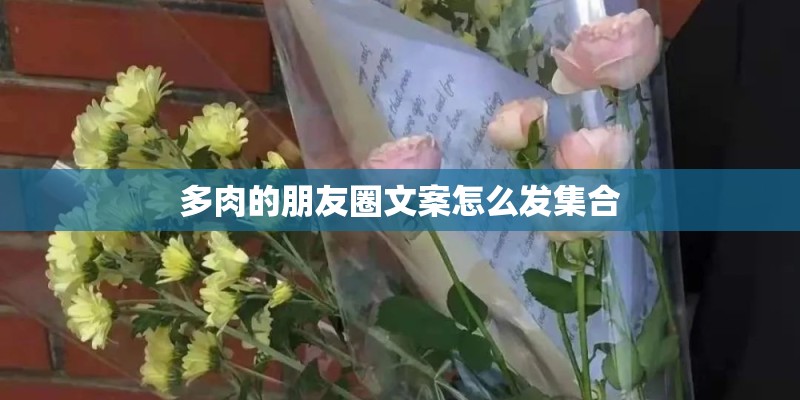 多肉的朋友圈文案怎么发集合 多肉的朋友圈文案怎么发集合
