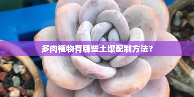 多肉植物有哪些土壤配制方法? 多肉植物有哪些土壤配制方法?