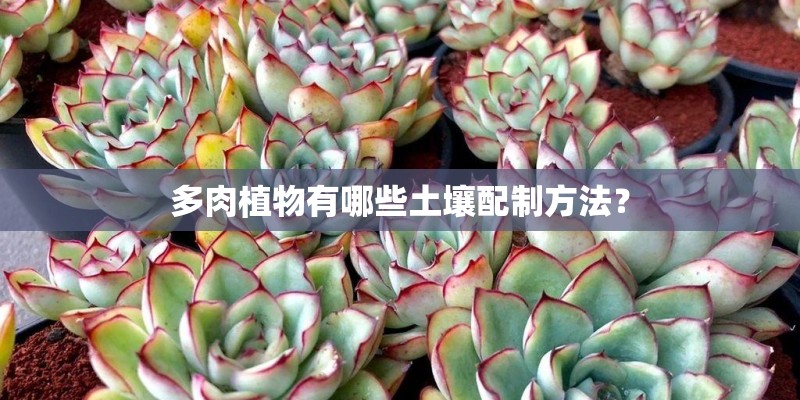 多肉植物有哪些土壤配制方法? 多肉植物有哪些土壤配制方法?