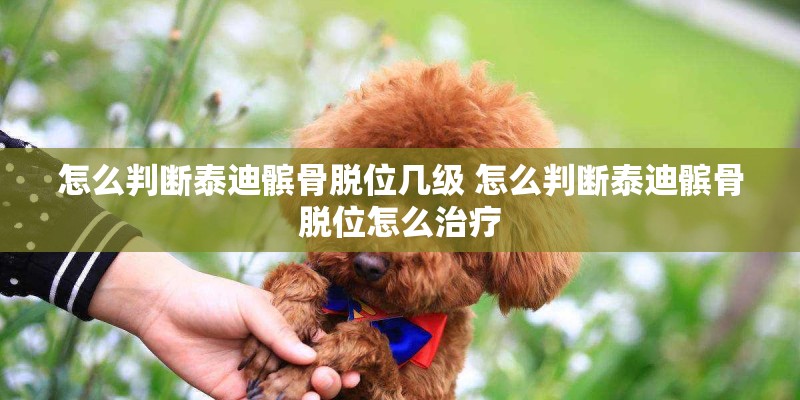 怎么判断泰迪髌骨脱位几级 怎么判断泰迪髌骨脱位怎么治疗 怎么判断泰迪髌骨脱位几级 怎么判断泰迪髌骨脱位怎么治疗