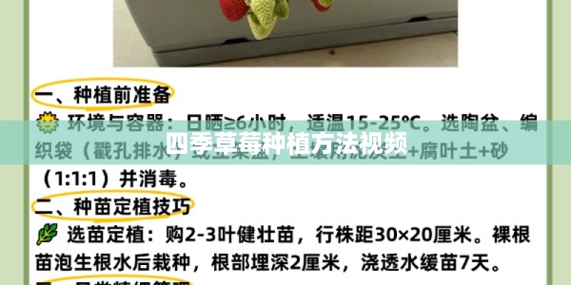 四季草莓种植方法视频 四季草莓种植方法视频